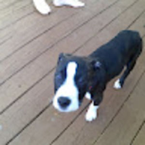 Meet your Posher, Brandon